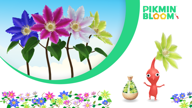 Pikmin Bloom Nov. 2024 Big Flower Forecast, Next Community Days Set For Nov. 9th and 10th